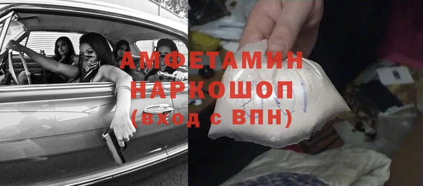 ГАЛЛЮЦИНОГЕННЫЕ ГРИБЫ Осинники