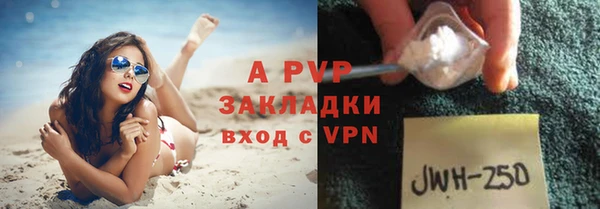 ГАЛЛЮЦИНОГЕННЫЕ ГРИБЫ Осинники