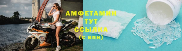 ГАЛЛЮЦИНОГЕННЫЕ ГРИБЫ Осинники