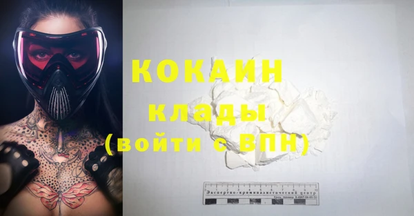 ГАЛЛЮЦИНОГЕННЫЕ ГРИБЫ Осинники