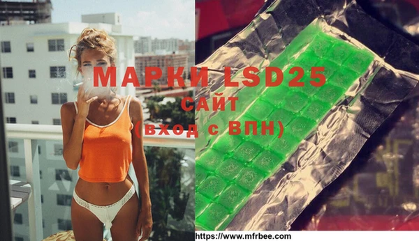 ГАЛЛЮЦИНОГЕННЫЕ ГРИБЫ Осинники