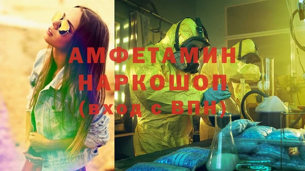 ГАЛЛЮЦИНОГЕННЫЕ ГРИБЫ Осинники