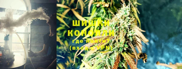 индика Нягань