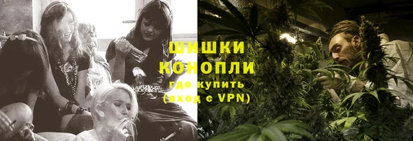 ГАЛЛЮЦИНОГЕННЫЕ ГРИБЫ Осинники