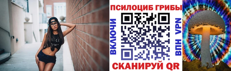 МЕГА tor  Кола  Галлюциногенные грибы мицелий 